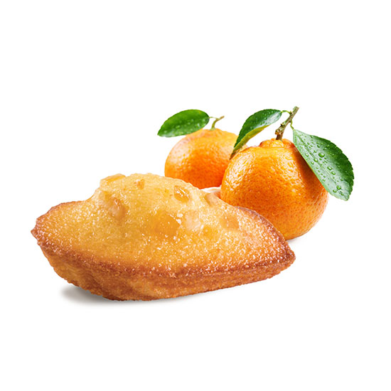 St. Michel Френски Малък Мадлен с Вкус на Цитрус 18 г